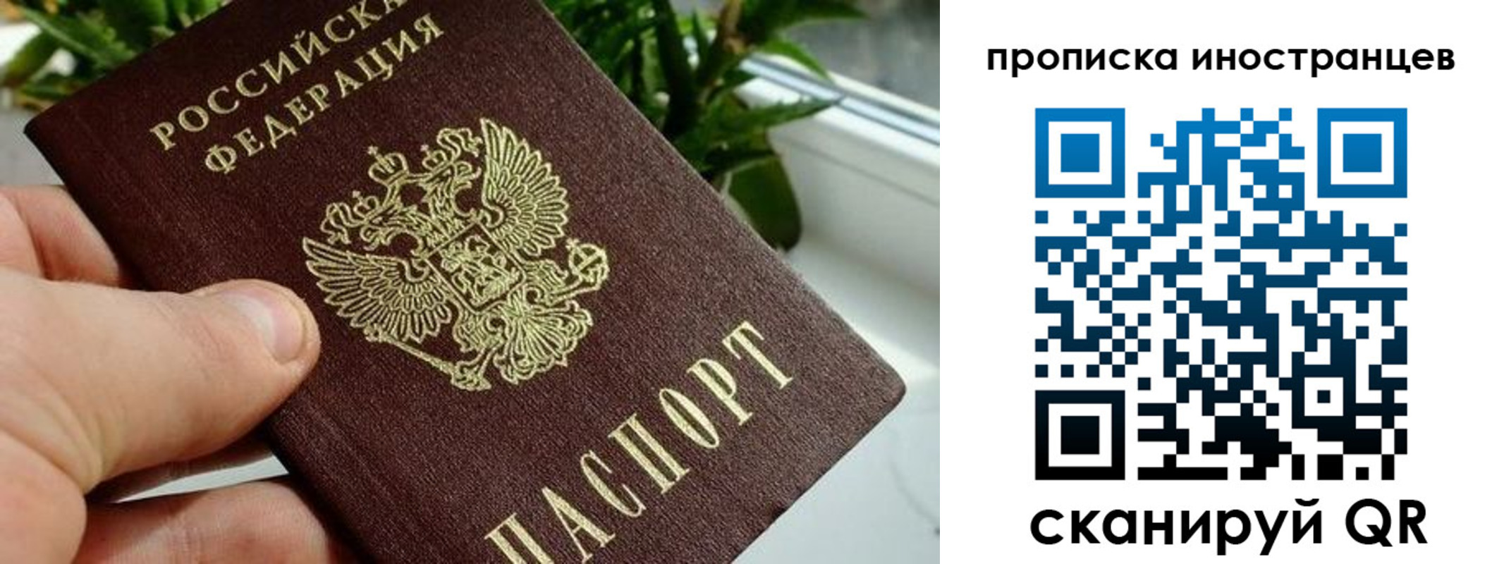 временная регистрация в Кузнецке